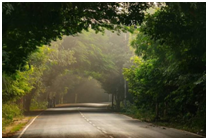 Things to do in Allahabad