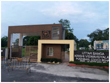 COLLEGES & UNIVERSITIES IN WEST BENGAL