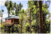 Things to do in kerala 
