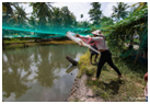 Things to do in kerala 
