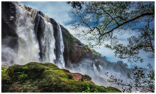Things to do in kerala 