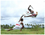 Things to do in kerala 