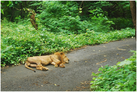 best places in Mumbai