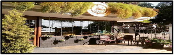 BEST CAFES IN GOA