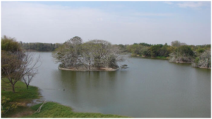 Places to Visit in Mysore