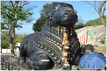 Places to Visit in Mysore
