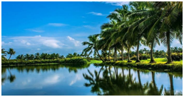 Culture and tradition of Kerala