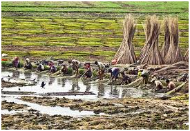 Occupation of West Bengal 