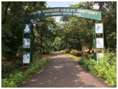 BEST THINGS TO DO IN GOA
