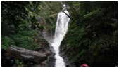 BEST THINGS TO DO IN GOA