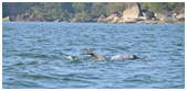 BEST THINGS TO DO IN GOA