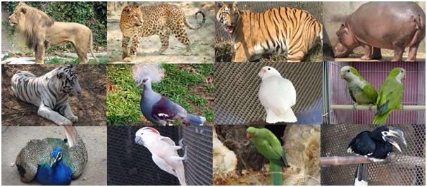 places to see in Kolkata