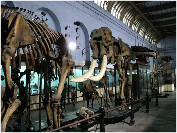 places to see in Kolkata