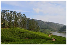 places to visit in Tamil nadu