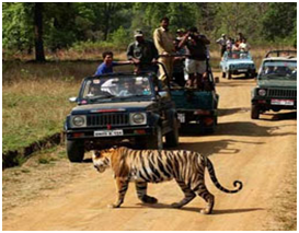 things to do in Madhya Pradesh
