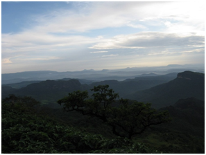 things to do in Madhya Pradesh