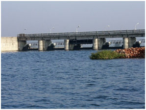 things to do in Madhya Pradesh