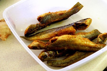 West Bengal Cuisine