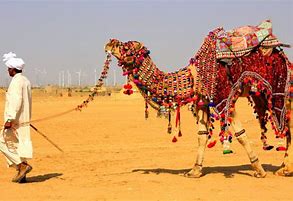 Top Things to do in Rajasthan | 46 Best Things to do in Rajasthan | Rajasthan Tourism
