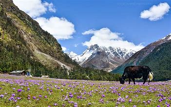  Places to Visit in Sikkim | Sikkim Tourism | List of Top Heavenly Places in Sikkim