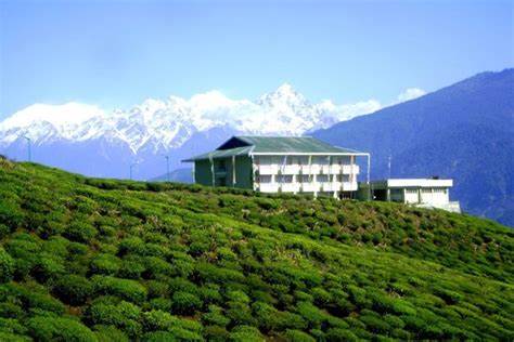 Best Things to do in Sikkim | Top 44 Things to do in Sikkim | Top Activities to do in Sikkim | Sikkim Tourism
