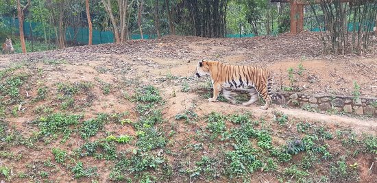 places of tourist attractions in Nagaland 
