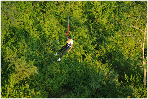 Activities to do in Uttrakhand
