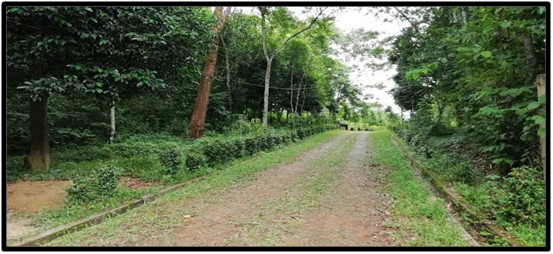 places to visit in tripura
