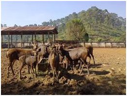places to visit in Manipur