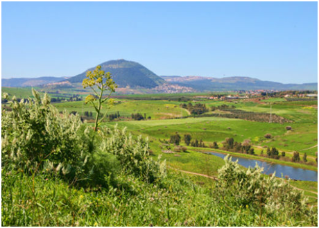 PLACES TO VISIT IN ISRAEL