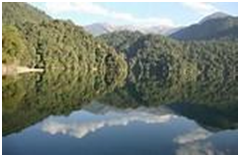 Best things to do in Arunachal Pradesh 