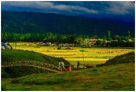 Best things to do in Arunachal Pradesh 