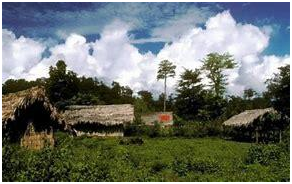 Best things to do in Arunachal Pradesh 