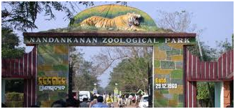 BEST PLACES TO VISIT IN ODISHA