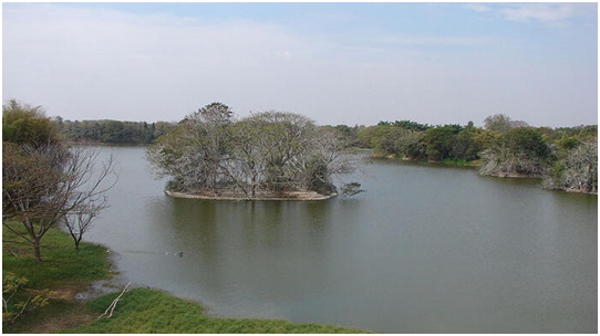 Best Things to do in Mysore 