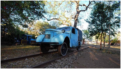 Best Things to do in Mysore 