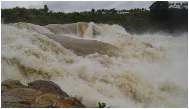 Best Things to do in Mysore 
