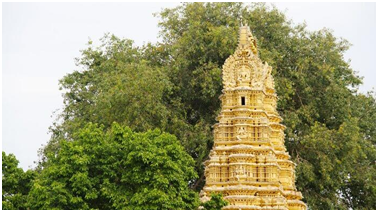 Best Things to do in Mysore 