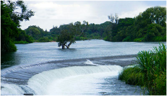 Best Things to do in Mysore 