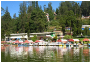 Things to do in  Tamil Nadu