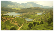 Things to do in  Tamil Nadu