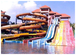 Things to do in  Tamil Nadu