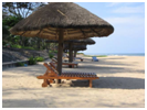 Things to do in  Tamil Nadu