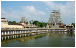 Things to do in  Tamil Nadu
