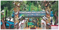 Things to do in  Tamil Nadu