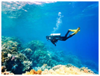 Things to do in  Tamil Nadu