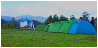 Things to do in  Tamil Nadu