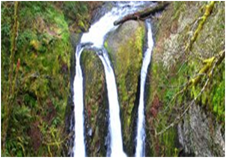 Tourist places to visit in Nagaland