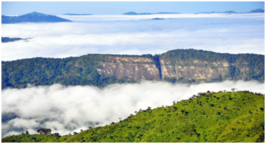 places to visit in Nagaland