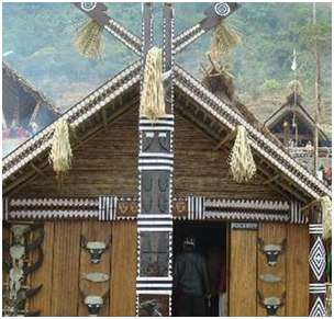 places to see in nagaland